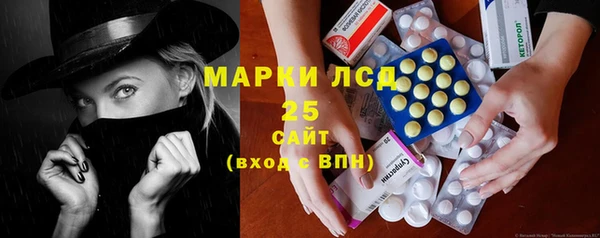 стаф Аркадак