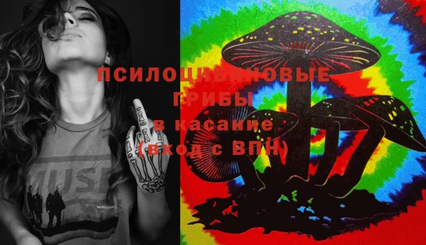 стаф Аркадак