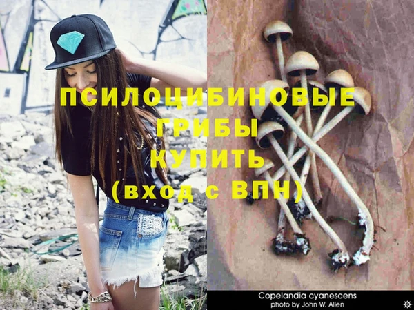 круглые Армянск