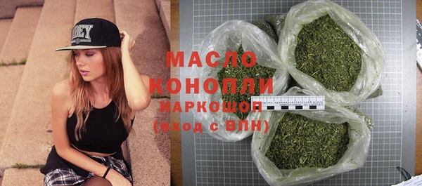 стаф Аркадак