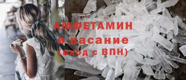 стаф Аркадак