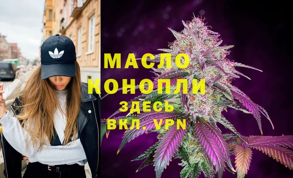 стаф Аркадак