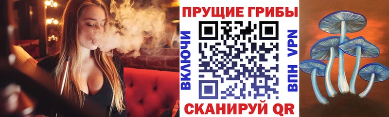 Псилоцибиновые грибы мухоморы  Купить закладки  Устюжна 